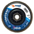 Weiler 4-1/2" Tiger Flap Disc, Conical (TY29), Backing, 80Z, 5/8"-11 UNC 50008